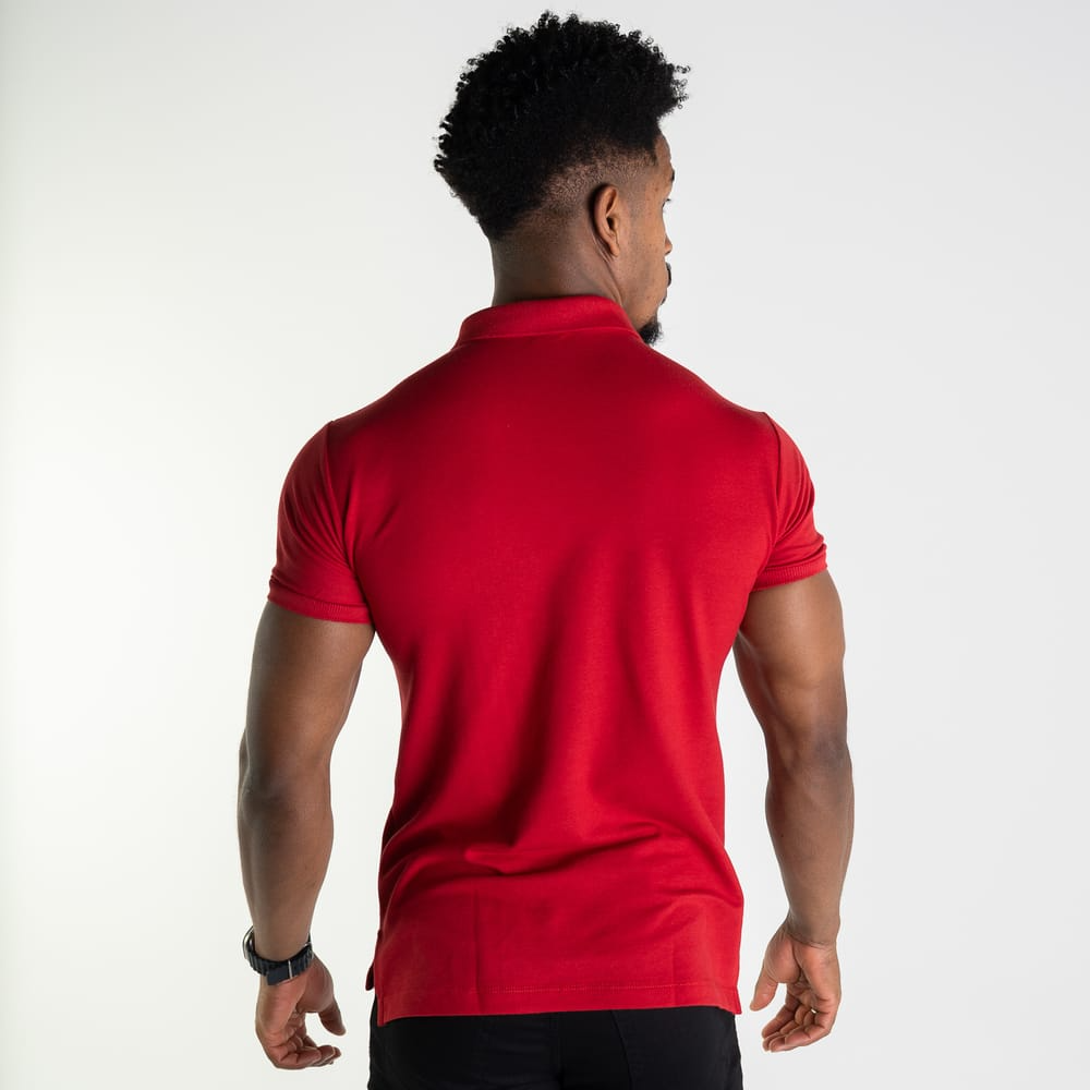 Kit 3 Camisas Polos RL